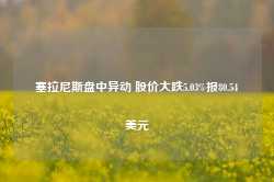 塞拉尼斯盘中异动 股价大跌5.03%报80.54美元-第1张图片- 分享经典句子,名人名言,经典语录