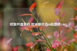 欧股开盘普跌 欧洲斯托克50指数跌1.06%-第1张图片- 分享经典句子,名人名言,经典语录