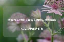 大众汽车投资主管辞去瑞典电池制造商Northvolt董事会职务-第1张图片- 分享经典句子,名人名言,经典语录