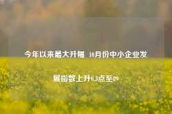 今年以来最大升幅  10月份中小企业发展指数上升0.3点至89-第1张图片- 分享经典句子,名人名言,经典语录