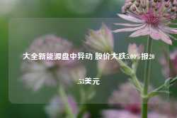 大全新能源盘中异动 股价大跌5.00%报20.53美元-第1张图片- 分享经典句子,名人名言,经典语录