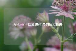 AppLovin一度涨逾6% 再创历史新高-第1张图片- 分享经典句子,名人名言,经典语录