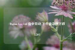 Dorian Lpg Ltd.盘中异动 下午盘急速下跌5.26%-第1张图片- 分享经典句子,名人名言,经典语录