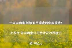 一周内两家 长银五八消金后中原消金ABS发行 年内消金公司合计发行规模已超144亿元-第1张图片- 分享经典句子,名人名言,经典语录