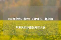 12月难降息？野村：关税冲击，最早明年夏天实际通胀就将大涨-第1张图片- 分享经典句子,名人名言,经典语录