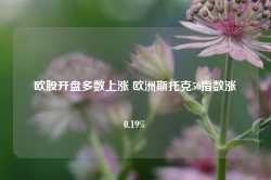 欧股开盘多数上涨 欧洲斯托克50指数涨0.19%-第1张图片- 分享经典句子,名人名言,经典语录