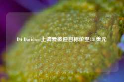 DA Davidson上调爱彼迎目标价至131美元-第1张图片- 分享经典句子,名人名言,经典语录