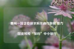 惠州一国企登报求购农商行股权 地方国资频频“加码”中小银行-第1张图片- 分享经典句子,名人名言,经典语录