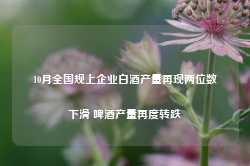 10月全国规上企业白酒产量再现两位数下滑 啤酒产量再度转跌-第1张图片- 分享经典句子,名人名言,经典语录